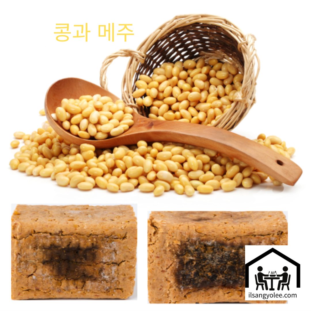메주콩과 메주