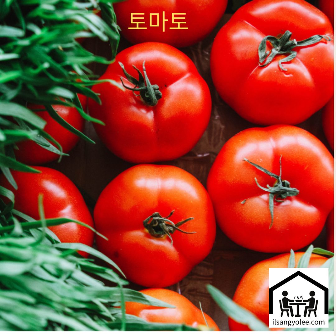 잘익은 토마토 모습