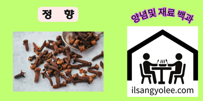 정향 완벽 가이드: 유래부터 요리 활용, 건강 효능까지