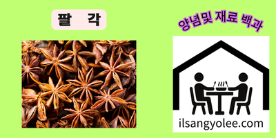 팔각(八角): 동양 요리의 깊이를 더하는 별 모양의 향신료