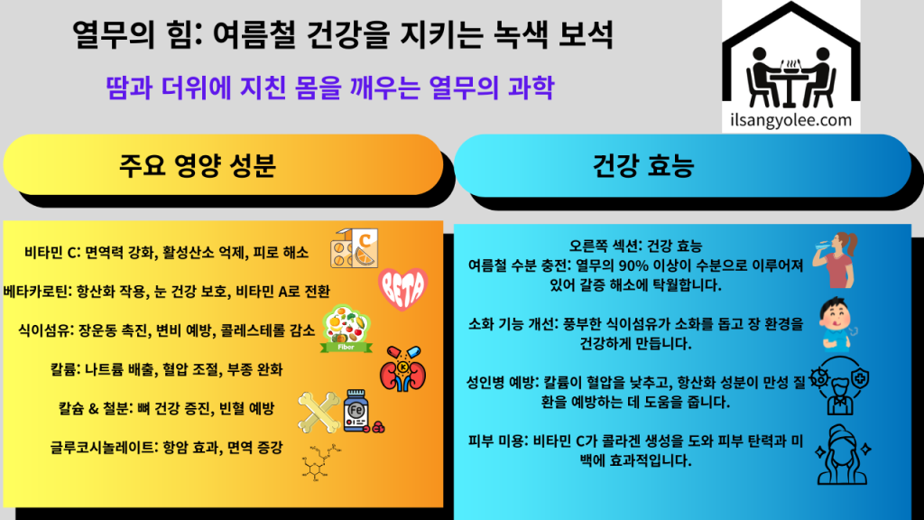 열무의 성분과 건겅효능을 한눈에 볼수있는 인포그래픽